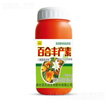 �ٺ��S�a(ch��n)��-ʥ�ϝ�