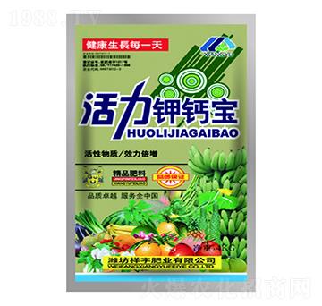 ������}��-����ʘI(y��)