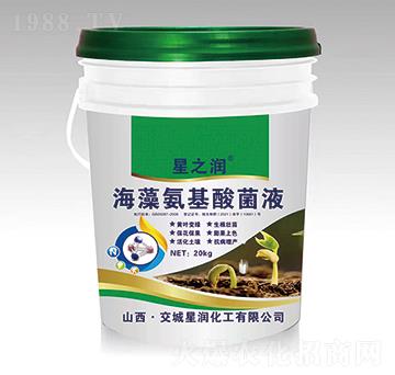 ���就�����Һ-�ǝ�(r��n)����