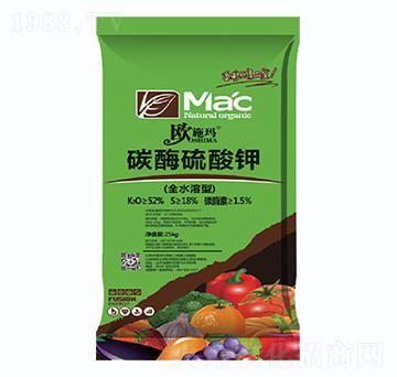 ̼ø�����-һ������