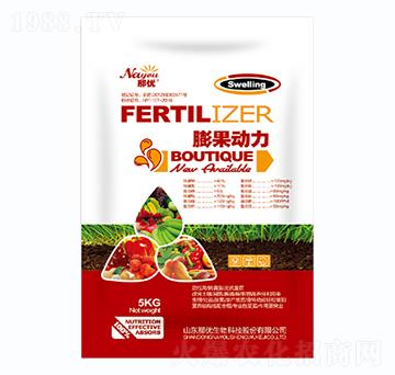 �������-һ������