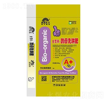 ȫ�I(y��ng)�B(y��ng)-��ĸ�����-�s��ʘI(y��)