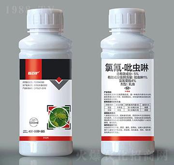 5%�������x��-�ΰ��o