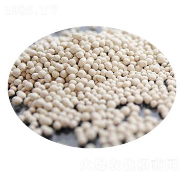 ���V��-�R�񻯹�