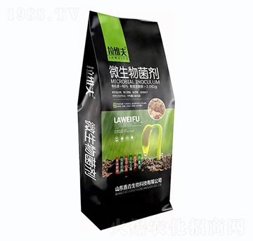 ΢�������-���S��-�Έ�����