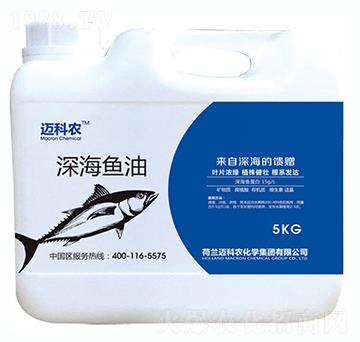 ��~��-�~���r-�Έ�����