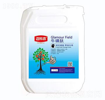 ������-�~���r-�Έ�����