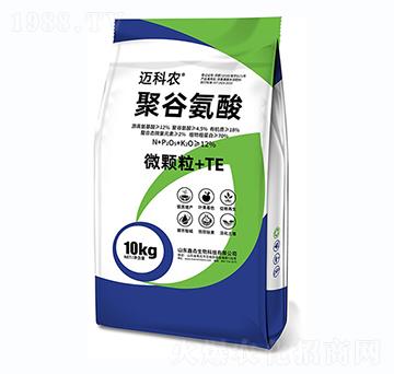 �۹Ȱ���-�~���r-�Έ�����