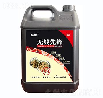 �o�����h-�~���r-�Έ�����