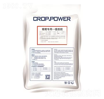 ���ь������|(zh��)��-��ӯ(li��n)��