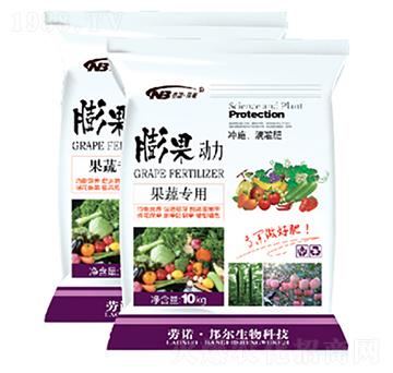 ���ߌ�(zhu��n)��-�����(d��ng)��-������