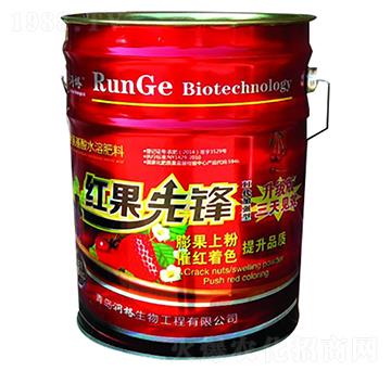 �t�����h-������