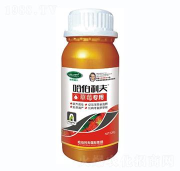 ��ݮ����-��������