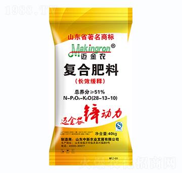 �ͺϷ���28-13-1