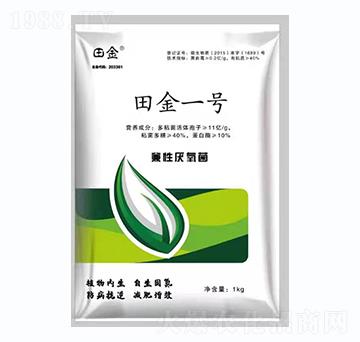 ���һ̖-���