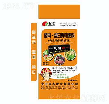 ��ĸ�������ЙC(j��)����-����