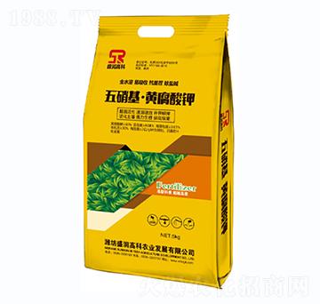 ���������S�����-ʢ��(r��n)�߿�