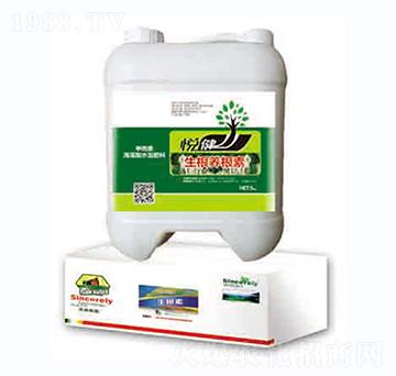 �����B(y��ng)����-����-�|�Ҙ�(l��)