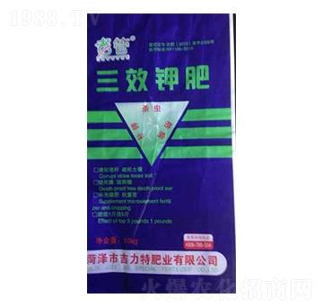 ��Ч⛷�-�����طʘI(y��)