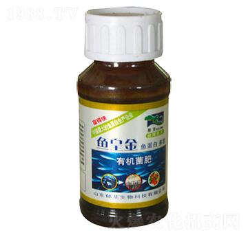 �~�ʽ��ЙC����-���d����