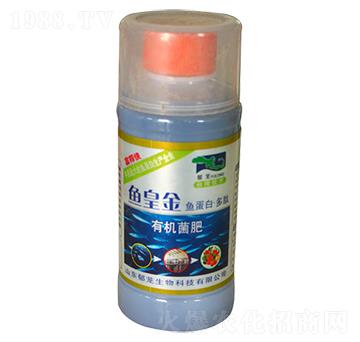 �ЙC����-�~�ʽ�-���d����