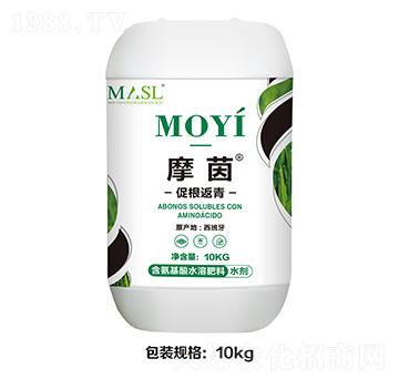 �ٸ�����-Ħ��-������