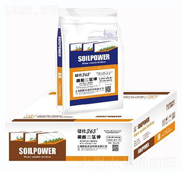 ��������-����365-�����r(n��ng)�I(y��)