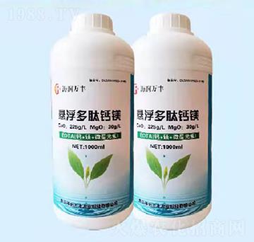 �Ҹ������}�V-����(r��n)�f(w��n)�S