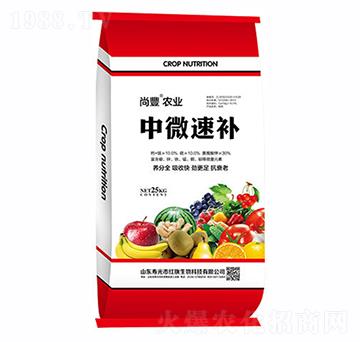 ��΢���a-���S-�t������