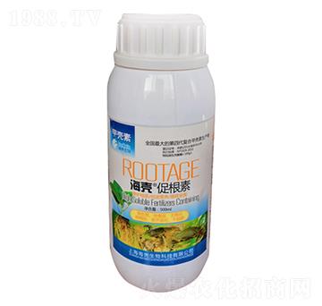 �����ٸ���-��������