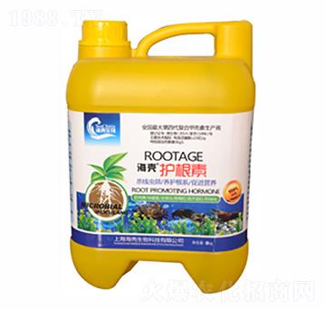 �����o����-��������