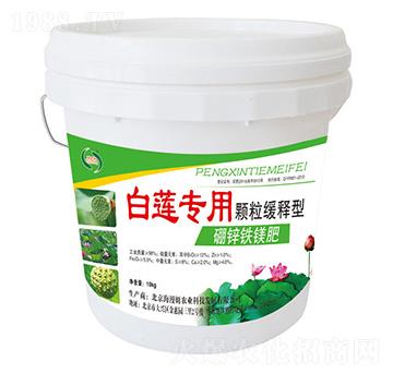 ��ɏ��(zhu��n)�����\�F�V��-���r(n��ng)����