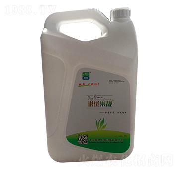 ����(y��u)���n-�´�����