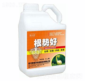 ����(sh��)��-ِ��