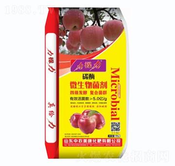 ̼ø΢�������-������-���r(n��ng)����