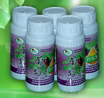 ���ѠI�B(y��ng)Һ-�G��