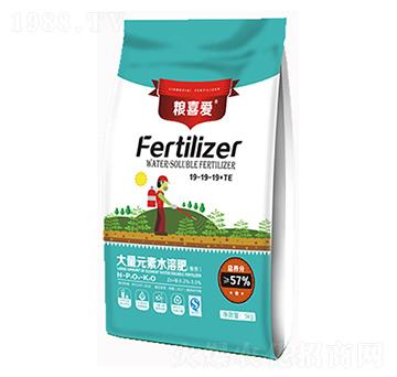 ����Ԫ��ˮ�ܷ�19-1