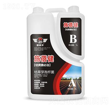 ���Sή����-ʩ����-ʩ���S