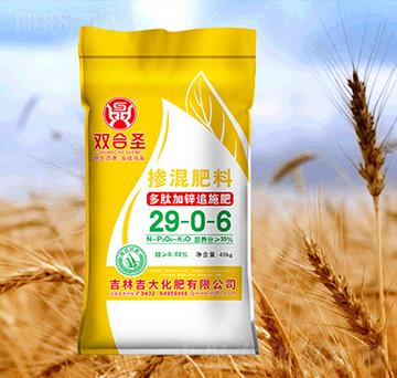 �p��ʥ�������29-0-6-����