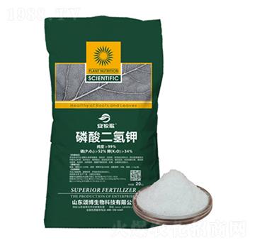 ��������-������-ힲ�����