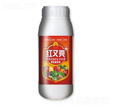 �t����������ɫ��-����