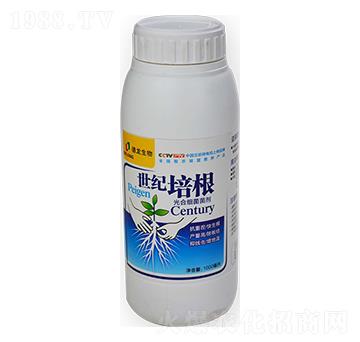 ��ϼ�������-���o(j��)���-��������