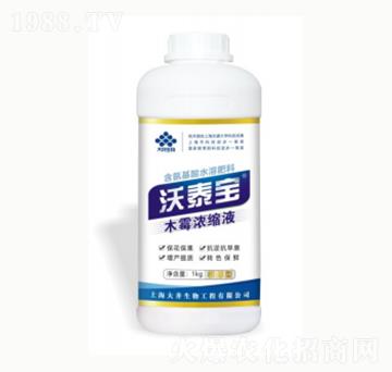 ľù?ji��)�sҺ-��̩��-������