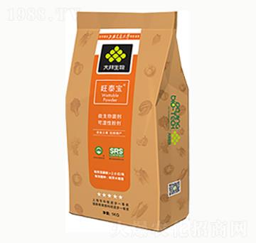 ��̩��-������