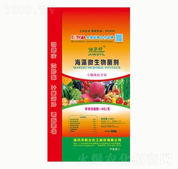 ����΢�������-ꖹ⻯��