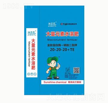 ���ĵ���ø+��������