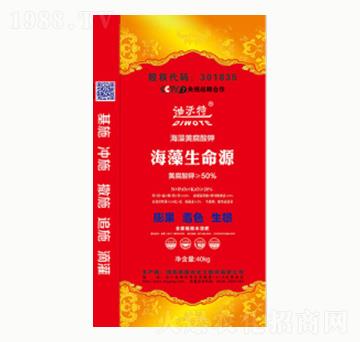 ��������Դ-ꖹ⻯��