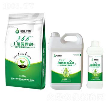 365������ˣ��M�ϣ�-�ں�����