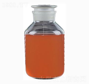 ��Ͼ�-���_˹���}��-�������