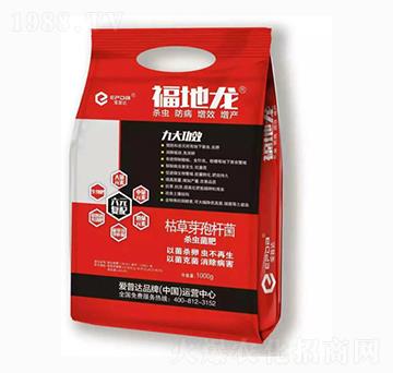 ���x��������-������-�����_(d��)